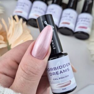 Naslovna 25 065 FORBIDDEN DREAMS