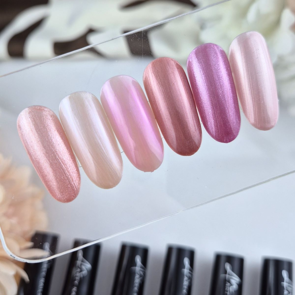 Naslovna 16 Silky collection 3